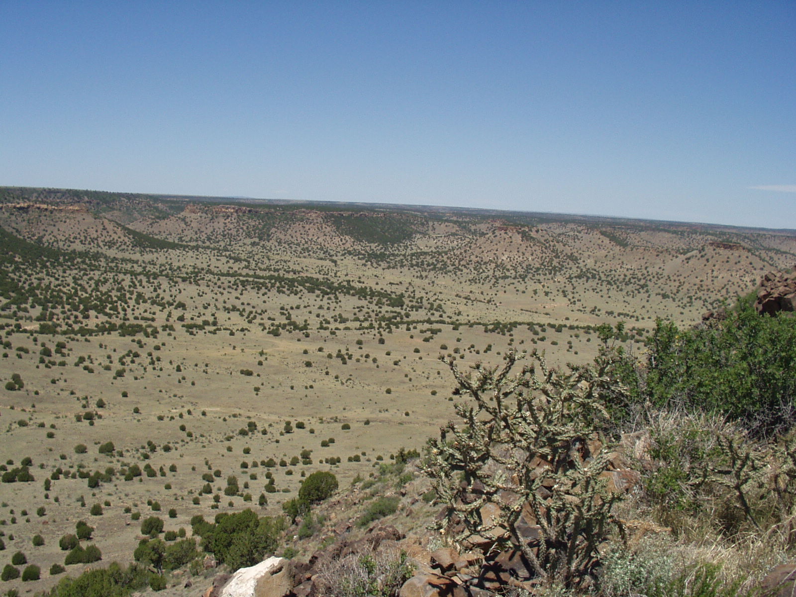 trail top
